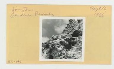 [Fairy tern in Hawaii, envelope IE30-094]