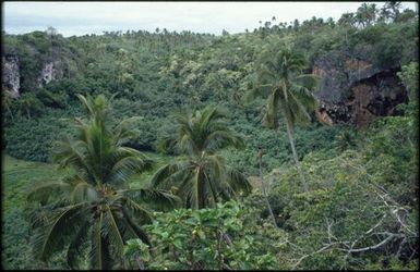 Landscape, Mangaia