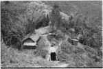 Kwiop: Nancy Cook carries lantern into clearing by the Cooks' house