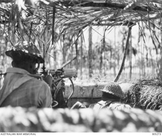 NEW GEORGIA ISLAND. C.1944. MEMBERS OF THE FIRST FIJI INFANTRY BATTALION MANNING A VICKERS .303 INCH MEDIUM MACHINE GUN IN A CAMOUFLAGED EMPLACEMENT. (NAVAL HISTORICAL COLLECTION)