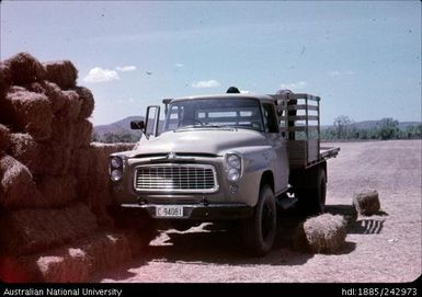 Men on the back of a ute