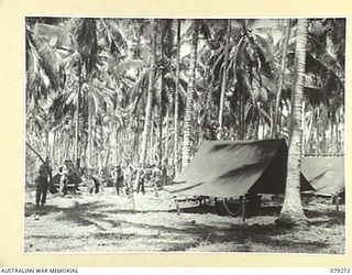 KALAI PLANTATION, NEW BRITAIN. 1945-02-18. A SECTION OF THE CAMP AREA OCCUPIED BY THE 6TH FIELD AMBULANCE