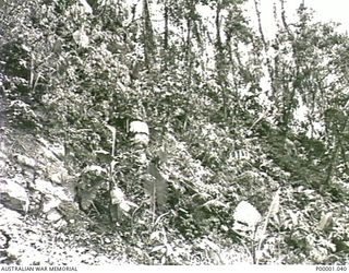 THE SOLOMON ISLANDS, 1945-01-12. TWO MEMBERS OF AN AIF 25 POUND ARTILLERY BATTERY SETTING OUT ON A RECONNAISSANCE. (RNZAF OFFICIAL PHOTOGRAPH.)