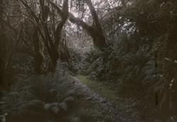 Milford Track, 1928