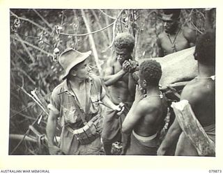 WAITAVALO AREA, WIDE BAY, NEW BRITAIN. 1945-03-16. AUSTRALIAN NEW GUINEA ADMINISTRATIVE UNIT NATIVES ASSIST WOUNDED OF HEAQUARTERS AUSTRALIAN NEW GUINEA ADMINISTRATIVE UNIT FROM THE RIDGES BEHIND ..