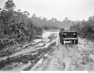 SOUTH BOUGAINVILLE, 1945-07-20. JEEPS OF 29 INFANTRY BRIGADE NEGOTIATING THE FLOODED BUIN ROAD WHICH HAS BEEN PRACTICALLY SUBMERGED BY THE OVERFLOW FROM THE FLOODED MOBIAI RIVER