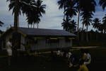 Farmer training centre for local village farmers, Aitape area, Sepik, Oct 1961