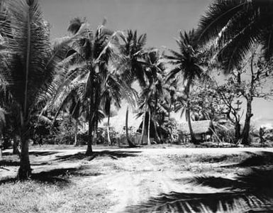 A View of a Building at Camp Dealey