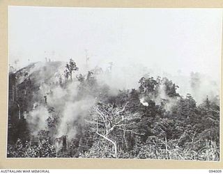 WEWAK AREA, NEW GUINEA, 1945-07-14. 2/1 FIELD REGIMENT AND 2/3 FIELD REGIMENT, FIRED 4,500 25-POUNDER SHELLS OVER A PERIOD OF 45 MINUTES. THIS WAS FOLLOWED BY 350 3-INCH MORTAR BOMBS AND 500 ROUNDS ..