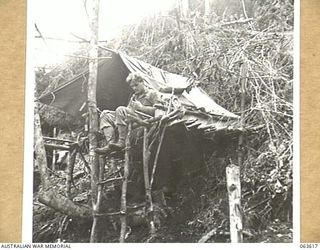 SHAGGY RIDGE, NEW GUINEA. 1944-01-20. VX113419 PRIVATE HENDERSON OF THE 2/9TH INFANTRY BATTALION, OF MALVERN, VIC, PERCHED OUTSIDE HIS TENT USING A TELEPHONE