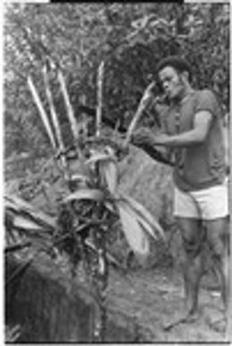 Semu Siori working on katee'au