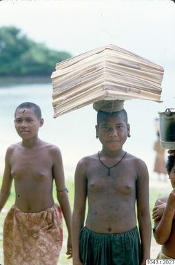 ["fotografi, photograph"]