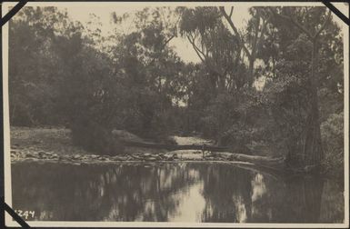 River in New Caledonia