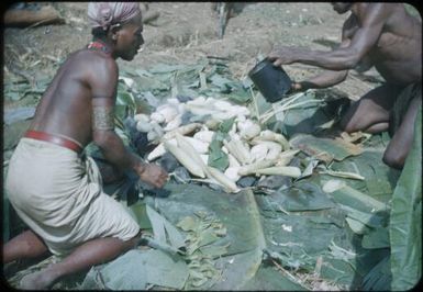 Pouring liquid over the vegetables : Wahgi Valley, Papua New Guinea, 1954 and 1955 / Terence and Margaret Spencer