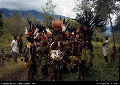 Group in ceremonial dress