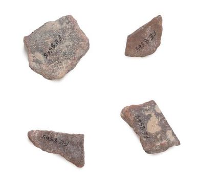 Lapita pottery sherds