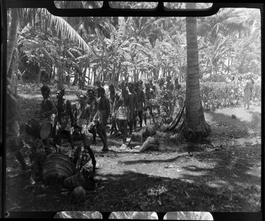 Young local boys dressed in costume as they make their way to a ceremony feast, Tahiti