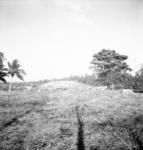Sioeli Kiivalu Ma'atu's grave at Hihifo village. (Hunganga Island in background.)