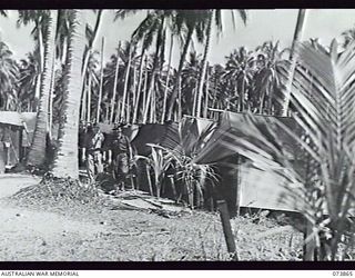 MADANG, NEW GUINEA. 1944-06-15. THE TENT LINES AT THE MOTOR TRANSPORT SECTION, HEADQUARTERS, 15TH INFANTRY BRIGADE. THE UNIT WAS LOCATED AT SIAR PLANTATION. LEFT TO RIGHT: V305734 DRIVER L. R. A. ..