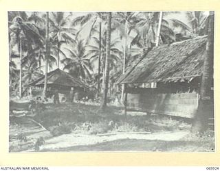 MILNE BAY, NEW GUINEA. 1943-01. A SECTION OF THE HEADQUARTERS, ROYAL AUSTRALIAN ARTILLERY, 5TH DIVISION CAMP AREA