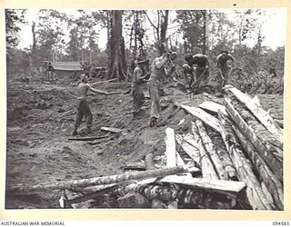 BOUGAINVILLE, 1945-07-31. GUNNERS OF 2/11 FIELD REGIMENT, ROYAL AUSTRALIAN ARMY, DOING THEIR SHARE OF ROAD WORK IN SOUTH BOUGAINVILLE. THEY ARE SHOWN LAYING CORDUROY ON THE BUIN ROAD BETWEEN THE ..