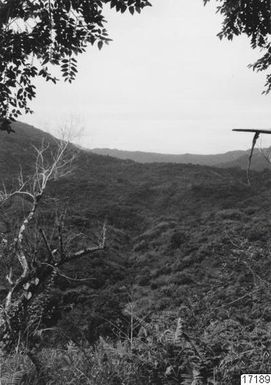 ["skog, landskap, by, berg, fotografi, photograph"]