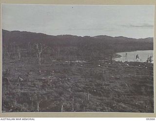 WEWAK POINT, NEW GUINEA, 1945-05-11. THE HEADQUARTERS 2/4 INFANTRY BATTALION AREA. THE AREA, CONTAINING MANY "DOOVERS" (TEMPORARY STRUCTURES), IS KNOWN AS "SHANTY TOWN"