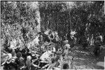 Pig festival, pig sacrifice, Tsembaga: decorated men close to ritual fence