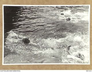 PORT MORESBY, NEW GUINEA. 1943-11-28. FINISH OF THE WOMEN'S 100 YARDS MEDLEY RACE AT THE ALLIED SERVICES GRAND SWIMMING CARNIVAL, THE RACE WAS WON BY PRIVATE BOYD, AUSTRALIAN ARMY MEDICAL WOMEN'S ..