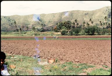 Ploughing in the Sigatoka Valley, Fiji, 1971