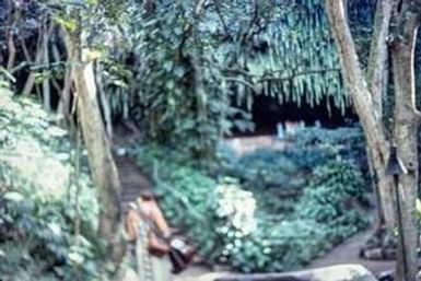 [Fern Grotto on Kauai]