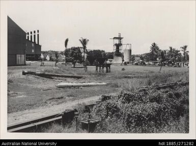 Grounds, Lautoka Mill