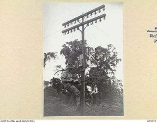 LAE, NEW GUINEA. 1945-03-11. A LINESMAN OF NO.1 COMPANY, 19TH LINES OF COMMUNICATION SIGNALS USING A TS PORTABLE NO.2 MARK II SET WHILE TESTING TELEPHONE LINES