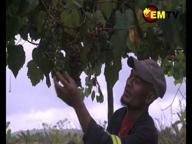 UPSKILL PNG WORKERS