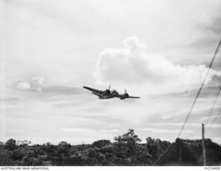 KIRIWINA, TROBRIAND ISLANDS, PAPUA. C. 1944-03. BEAUFIGHTER AIRCRAFT OF NO. 30 SQUADRON RAAF DIVING TO LOW LEVEL STRAFING POSITION