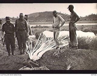 NEW GUINEA. 1943-07-24. AUSTRALIAN AND UNITED STATES ARMY OFFICERS INSPECTING AN AMERICAN MOUNTAIN GUN WHICH HAS BEEN DROPPED FROM AN AIRCRAFT BY PARACHUTE AT JACKSON'S AIRFIELD