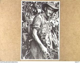 GUY'S POST, FARIA RIVER AREA, NEW GUINEA. 1943-11-08. QX48116 PRIVATE W. HARRIS OF MOOLOOLAH, QLD, AND OF THE 2/33RD AUSTRALIAN INFANTRY BATTALION MOVING TO GUY'S POST TO RELIEVE MEMBERS OF THE ..