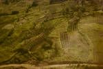 Aerial view New Guinea highlands region, village food plots, Mar 1965