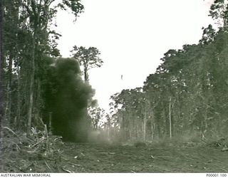 THE SOLOMON ISLANDS, 1945-04-24/27. AN AREA CHOSEN FOR AN AUSTRALIAN CAMP SITE ON BOUGAINVILLE ISLAND BEING CLEARED BY BLASTING. (RNZAF OFFICIAL PHOTOGRAPH.)