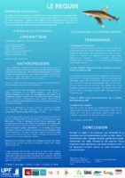 Le requin (français)