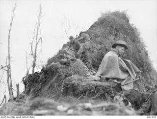 SHAGGY RIDGE, NEW GUINEA. 1943-12-27. TROOPS OF THE 2/16TH AUSTRALIAN INFANTRY BATTALION, 21ST AUSTRALIAN INFANTRY BRIGADE ENTRENCHED ON THE RAZOR BACK LEADING TO THE "PIMPLE" AFTER IT'S CAPTURE ..