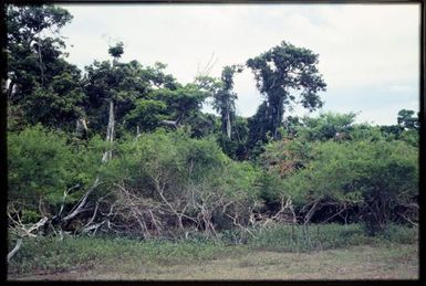 Habitat
