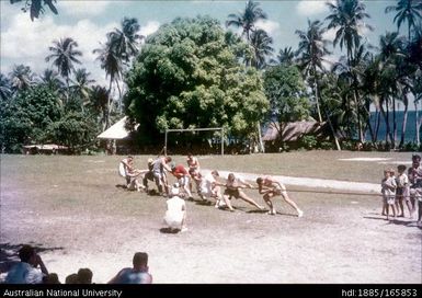 Tug-of-war