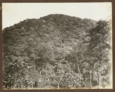 Mount Vaea. From the album: Samoa