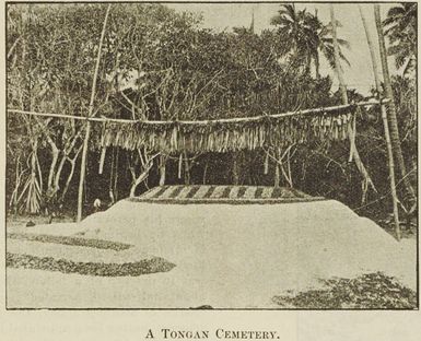 A Tongan cemetery