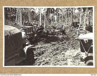 FINSCHHAFEN, NEW GUINEA. 1943-11-20. UNITED STATES TROOPS ROADMAKING UNDER DIFFICULT TROPICAL CONDITIONS