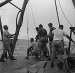 John Dove Isaacs (left) feeds wire out with Willard Bascom (center, squatting down and looking back), aboard R/V Spencer F. Baird, Bikini Atoll area