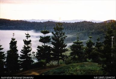 Aiyura - Finisterre - View from Schindler's towards Finisterre Mountains before sunrise