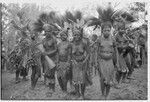 Pig festival, singsing: decorated clan sisters, potential brides, during a dance