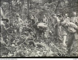 LOS NEGROS ISLAND, ADMIRALTY ISLANDS. 1944-03-18. RAAF AIRMEN CLEARING AWAY UNDERGROWTH IN A COCONUT PLANTATION TO PREPARE A CAMP SITE